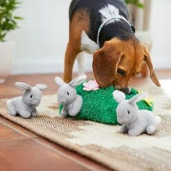 Frisco Spring Bunny Burrow Hide & Seek Plush Squeaky Dog Toy 10 Frisco Spring Bunny Burrow Hide & Seek Plush Squeaky Dog Toy -Frisco 248039 PT5. AC SS1800 V1608767863