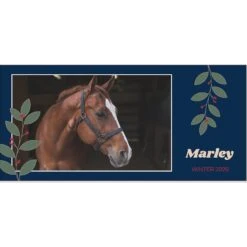 Frisco Berry Garland Personalized Coffee Mug, 11-oz 6 Frisco Berry Garland Personalized Coffee Mug, 11-oz -Frisco 249333 PT2. AC SS1800 V1602863774