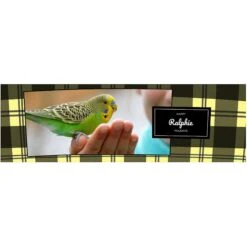 Frisco Double Walled Red Plaid Personalized Tumbler, 30-oz Cup 9 Frisco Double Walled Red Plaid Personalized Tumbler, 30-oz Cup -Frisco 249346 PT2. AC SS1800 V1602029161