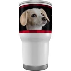 Frisco Double Walled Red Plaid Personalized Tumbler, 30-oz Cup 10 Frisco Double Walled Red Plaid Personalized Tumbler, 30-oz Cup -Frisco 249346 PT3. AC SS1800 V1602042957