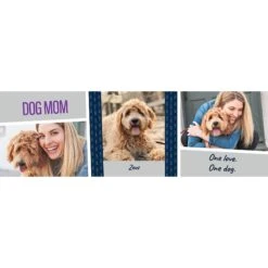 Frisco Double Walled "Dog Mom" Personalized Tumbler, 30-oz Cup 8 Frisco Double Walled "Dog Mom" Personalized Tumbler, 30-oz Cup -Frisco 250741 PT2. AC SS1800 V1602689509
