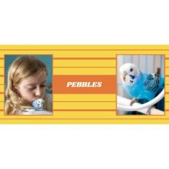 Frisco Double Walled Preppy Stripes Personalized Tumbler, 30-oz Cup 7 Frisco Double Walled Preppy Stripes Personalized Tumbler, 30-oz Cup -Frisco 250751 PT2. AC SS1800 V1606678620