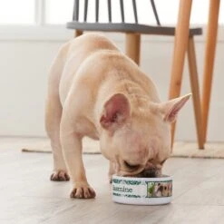 Frisco Boho Damask Ceramic Personalized Dog & Cat Bowl 7 Frisco Boho Damask Ceramic Personalized Dog & Cat Bowl -Frisco 250833 PT3. AC SS1800 V1610758070