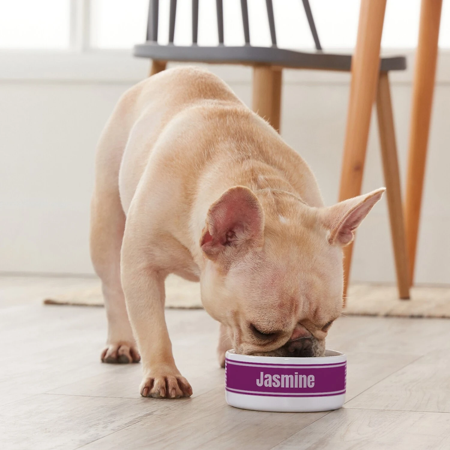 Frisco Preppy Stripes Ceramic Personalized Dog & Cat Bowl 4 Frisco Preppy Stripes Ceramic Personalized Dog & Cat Bowl - Image 4