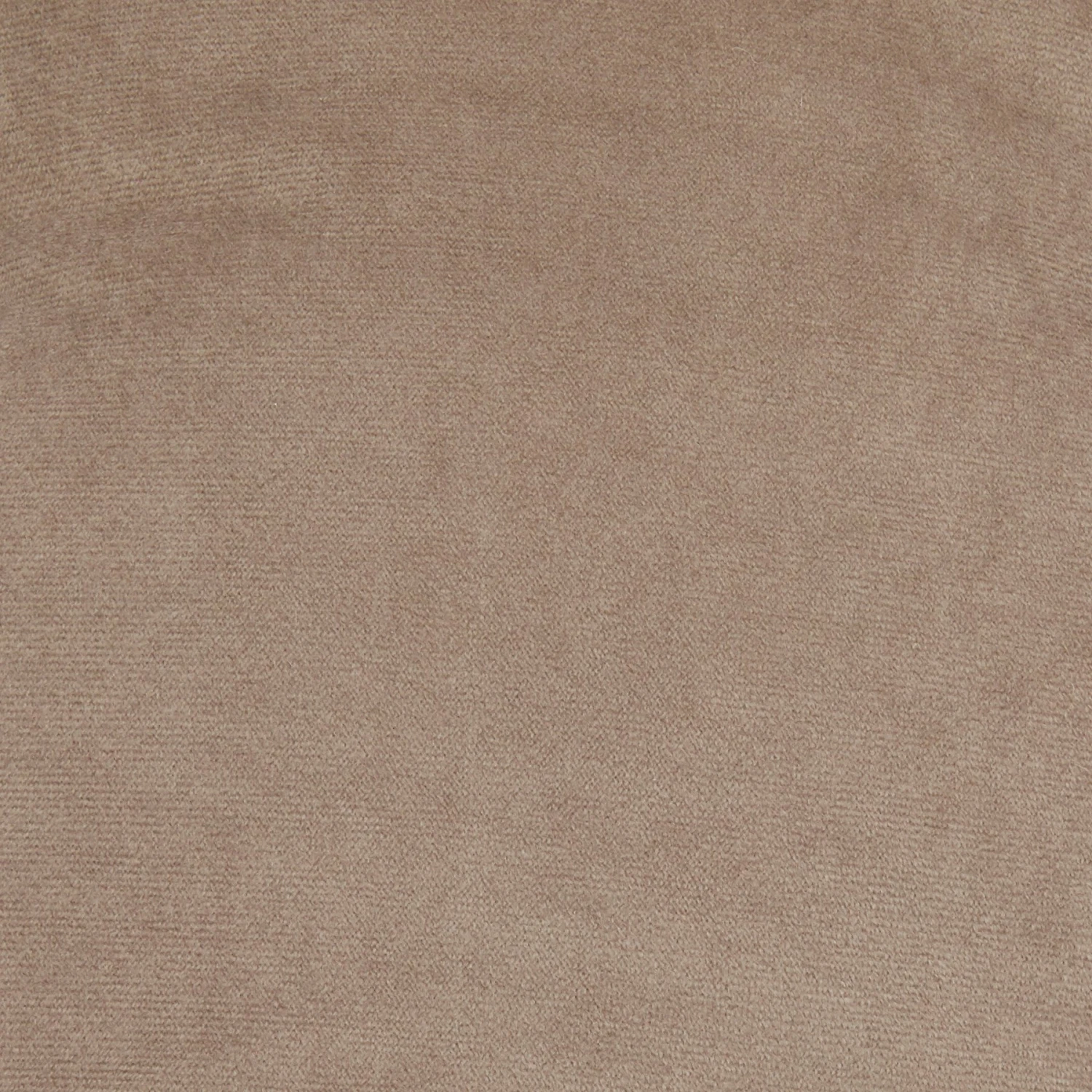 Frisco Rectangular Personalized Bolster Dog Bed W/Removable Cover, Beige, X-Large 6 Frisco Rectangular Personalized Bolster Dog Bed W/Removable Cover, Beige, X-Large - Image 6