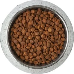 Frisco Quartz Design Stainless Steel Dog & Cat Bowl 14 Frisco Quartz Design Stainless Steel Dog & Cat Bowl -Frisco 253044 PT5. AC SS1800 V1616526766