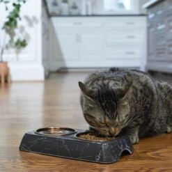 Frisco Copper Stainless Steel Double Dog & Cat Bowls With Black Marble Stand 10 Frisco Copper Stainless Steel Double Dog & Cat Bowls With Black Marble Stand -Frisco 253058 PT2. AC SS1800 V1616594213