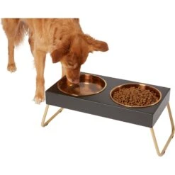 Frisco Copper Stainless Steel Elevated Foldable Double Dog & Cat Bowls