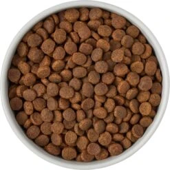 Frisco Ceramic Food Dog & Cat Bowl With Wood Base 10 Frisco Ceramic Food Dog & Cat Bowl With Wood Base -Frisco 256043 PT6. AC SS1800 V1615311151