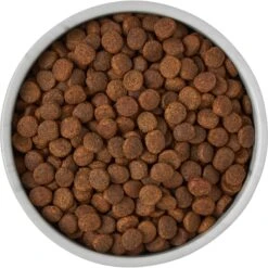 Frisco Marble Design Non-skid Ceramic Dog & Cat Bowl 13 Frisco Marble Design Non-skid Ceramic Dog & Cat Bowl -Frisco 256056 PT6. AC SS1800 V1615310860