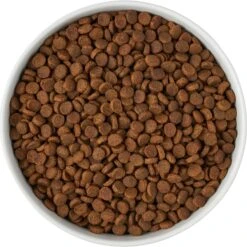 Frisco Paw Prints Non-skid Ceramic Bowl 11 Frisco Paw Prints Non-skid Ceramic Bowl -Frisco 256072 PT5. AC SS1800 V1615312318