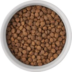 Frisco Bones Non-skid Ceramic Dog & Cat Bowl 11 Frisco Bones Non-skid Ceramic Dog & Cat Bowl -Frisco 256074 PT5. AC SS1800 V1615312010