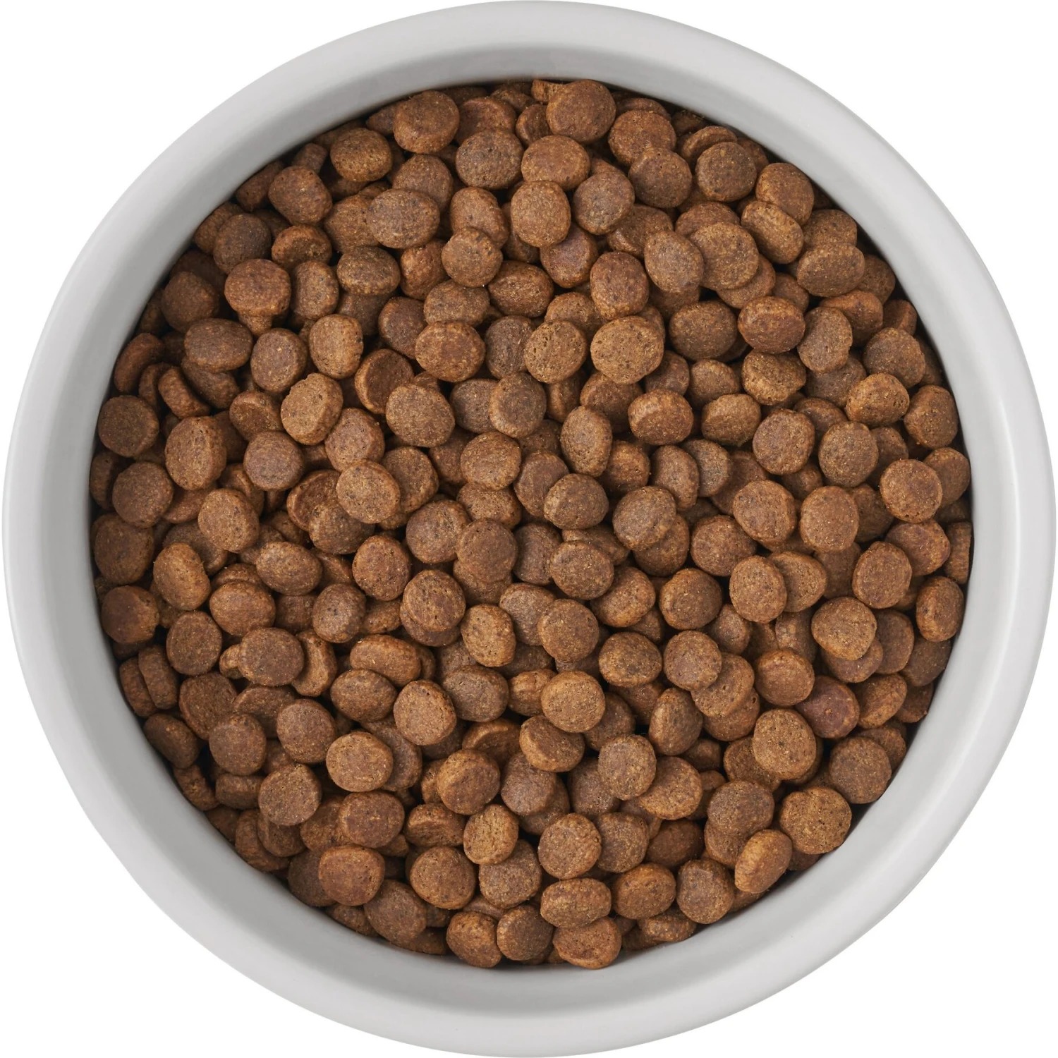 Frisco Bones Non-skid Ceramic Dog & Cat Bowl 6 Frisco Bones Non-skid Ceramic Dog & Cat Bowl - Image 6