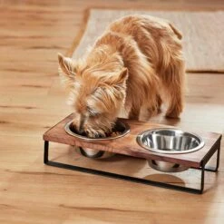 Frisco Wood Elevated Non-Skid Stainless Steel Double Diner Dog & Cat Bowl 9 Frisco Wood Elevated Non-Skid Stainless Steel Double Diner Dog & Cat Bowl -Frisco 257143 PT3. AC SS1800 V1615987292
