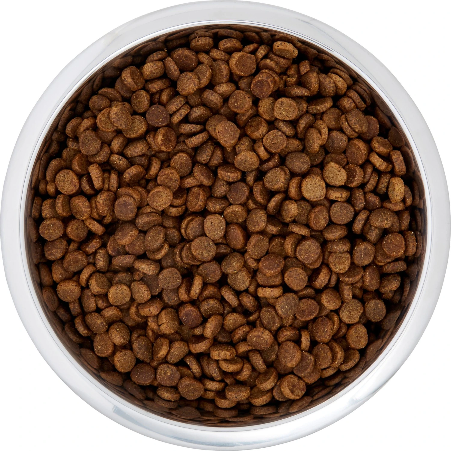 Frisco Black Iron Non-Skid Stainless Steel Dog & Cat Bowl 5 Frisco Black Iron Non-Skid Stainless Steel Dog & Cat Bowl - Image 5