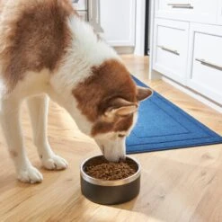 Frisco Insulated Two-Toned Non-Skid Stainless Steel Dog & Cat Bowl 13 Frisco Insulated Two-Toned Non-Skid Stainless Steel Dog & Cat Bowl -Frisco 257168 PT8. AC SS1800 V1615840126