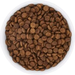 Frisco Bohemian Non-Skid Stainless Steel Dog & Cat Bowl 13 Frisco Bohemian Non-Skid Stainless Steel Dog & Cat Bowl -Frisco 257195 PT4. AC SS1800 V1615311089