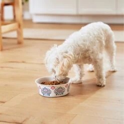 Frisco Bohemian Non-Skid Stainless Steel Dog & Cat Bowl 17 Frisco Bohemian Non-Skid Stainless Steel Dog & Cat Bowl -Frisco 257195 PT8. AC SS1800 V1615932115