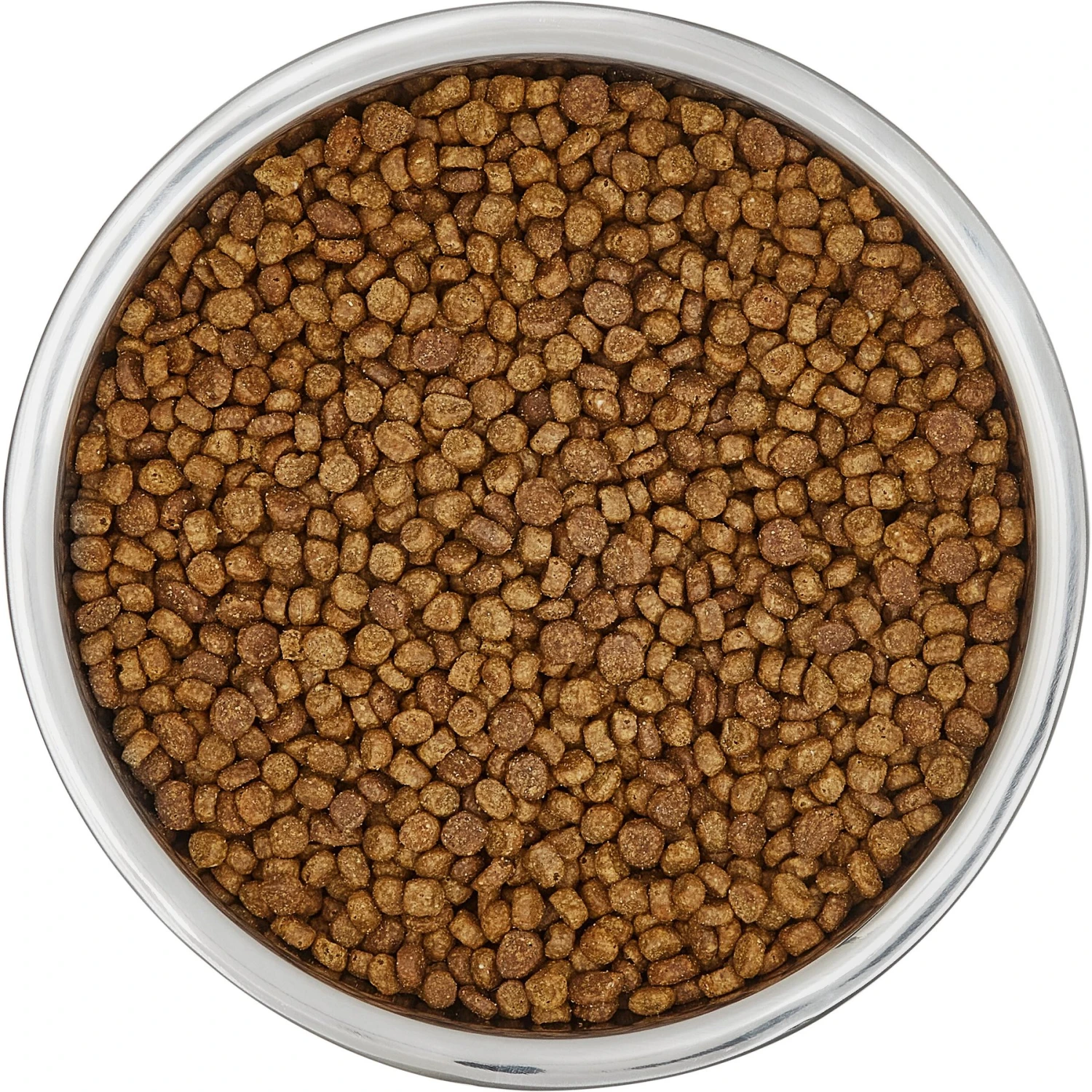 Frisco Insulated Non-Skid Flair Stainless Steel Dog & Cat Bowl 5 Frisco Insulated Non-Skid Flair Stainless Steel Dog & Cat Bowl - Image 5