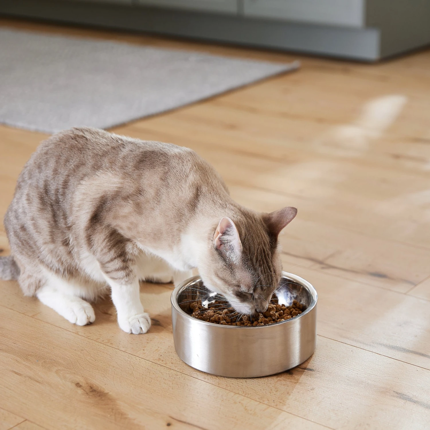 Frisco Insulated Non-Skid Flair Stainless Steel Dog & Cat Bowl 8 Frisco Insulated Non-Skid Flair Stainless Steel Dog & Cat Bowl - Image 8