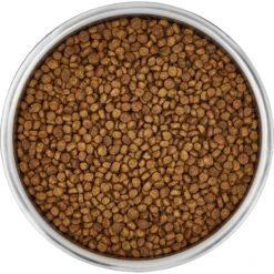 Frisco Insulated Non-Skid Stainless Steel Dog & Cat Bowl 12 Frisco Insulated Non-Skid Stainless Steel Dog & Cat Bowl -Frisco 261757 PT4. AC SS1800 V1623937392