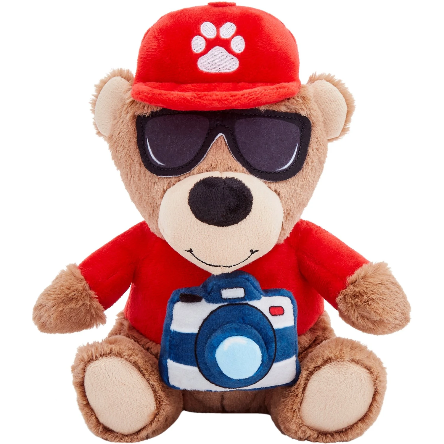Frisco Road Trip Tourist Bear Plush Squeaky Dog Toy 1 Frisco Road Trip Tourist Bear Plush Squeaky Dog Toy
