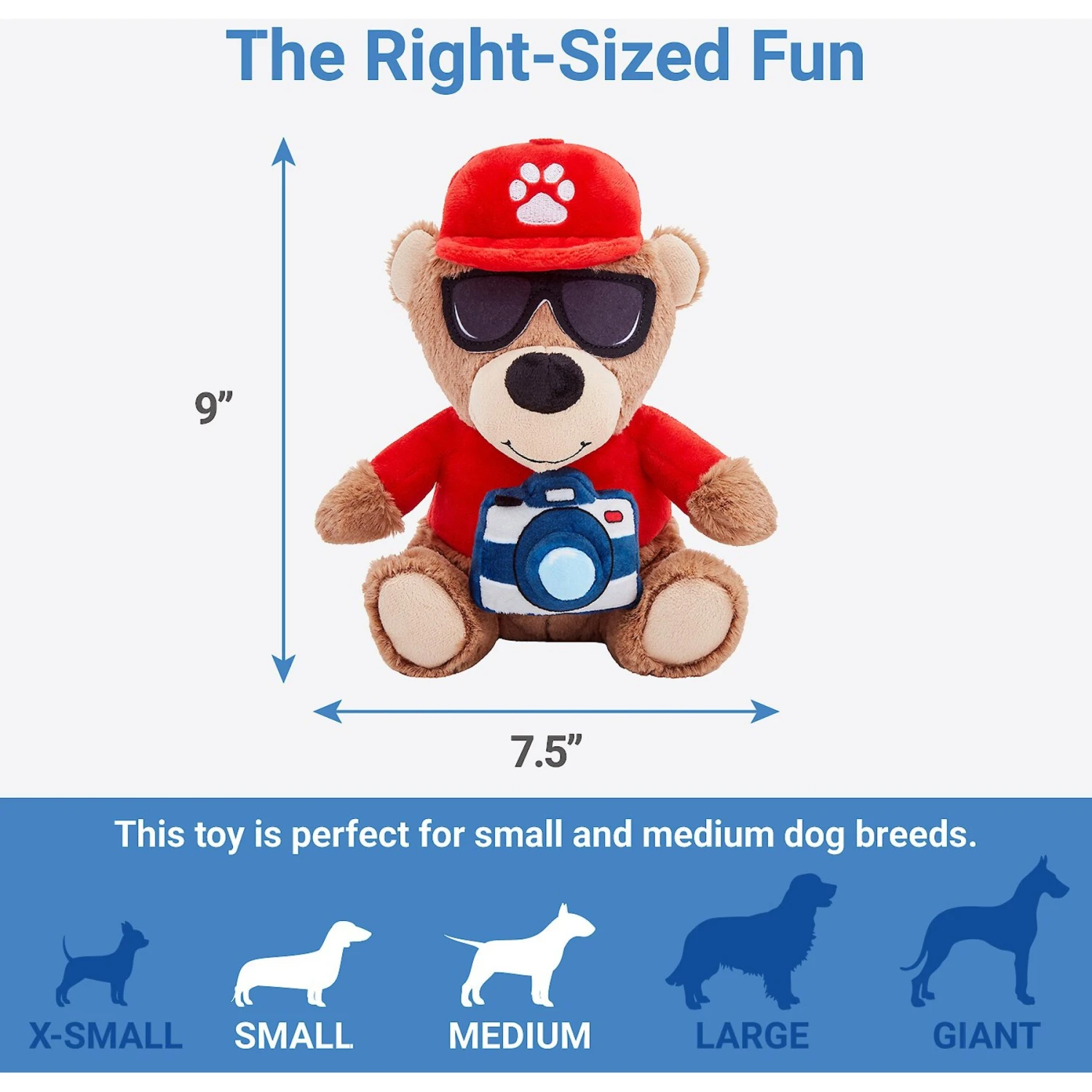 Frisco Road Trip Tourist Bear Plush Squeaky Dog Toy 2 Frisco Road Trip Tourist Bear Plush Squeaky Dog Toy - Image 2