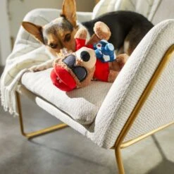 Frisco Road Trip Tourist Bear Plush Squeaky Dog Toy 5 Frisco Road Trip Tourist Bear Plush Squeaky Dog Toy -Frisco 261995 PT3. AC SS1800 V1618598730