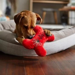 Frisco Halloween Wicked Cute Bone Reversible Plush Squeaky Dog Toy 9 Frisco Halloween Wicked Cute Bone Reversible Plush Squeaky Dog Toy -Frisco 270357 PT3. AC SS1800 V1624817551