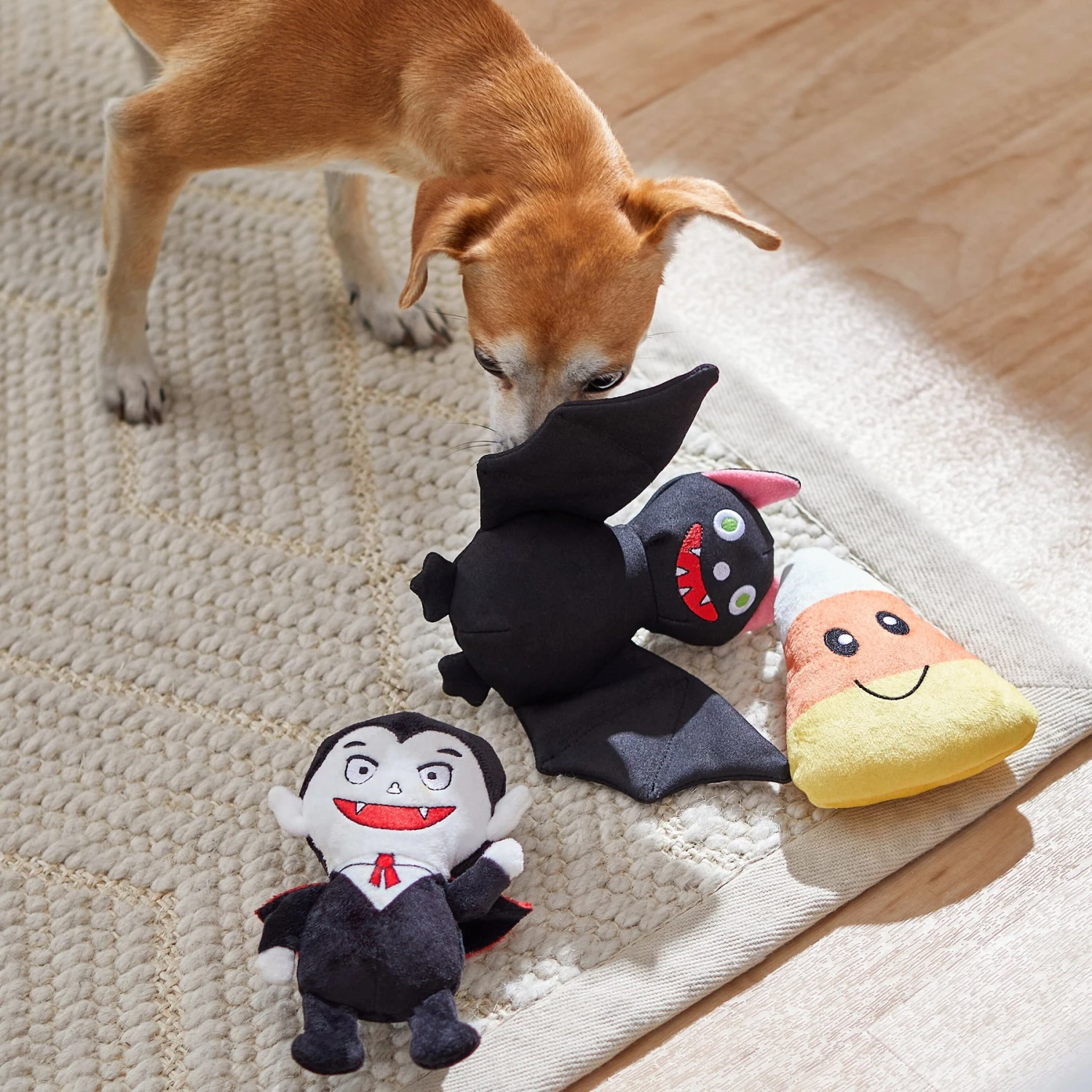 Frisco Halloween Haunted Friends Plush Squeaky Dog Toy 3 Frisco Halloween Haunted Friends Plush Squeaky Dog Toy - Image 3