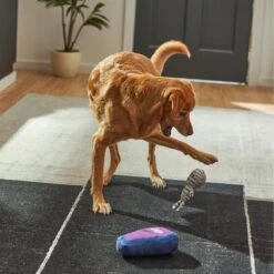 Frisco Halloween Mummy & Coffin Plush Squeaky Dog Toy 7 Frisco Halloween Mummy & Coffin Plush Squeaky Dog Toy -Frisco 270437 PT3. AC SS1800 V1624817278