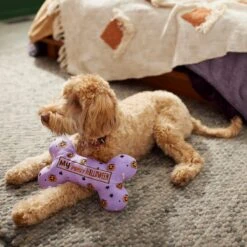 Frisco Halloween My First Halloween Bone Reversible Plush Squeaky Dog Toy 9 Frisco Halloween My First Halloween Bone Reversible Plush Squeaky Dog Toy -Frisco 270452 PT3. AC SS1800 V1624817314
