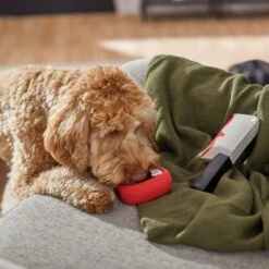 Frisco Halloween Vampire Teeth & Knife Latex Squeaky Dog Toy 6 Frisco Halloween Vampire Teeth & Knife Latex Squeaky Dog Toy -Frisco 270512 PT3. AC SS1800 V1624817093