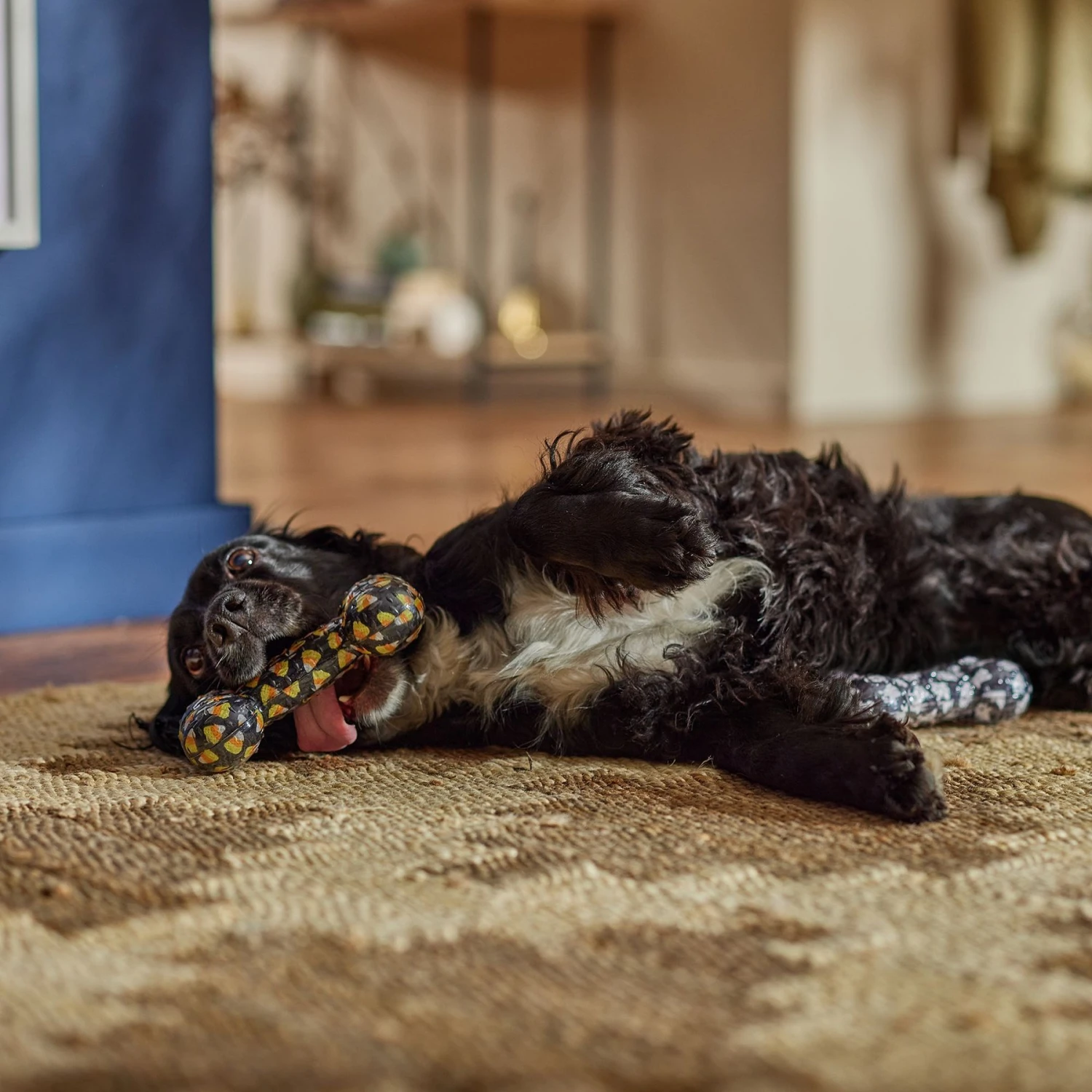 Frisco Halloween Candy Corn & Ghosts TPR Bone Squeaky Dog Toy, 2 Count 3 Frisco Halloween Candy Corn & Ghosts TPR Bone Squeaky Dog Toy, 2 Count - Image 3
