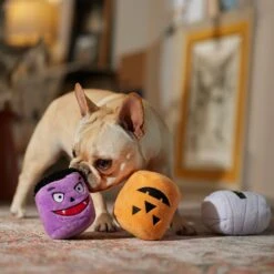 Frisco Halloween Haunted Friends Plush Squeaky Dog Toy, 3 Count 7 Frisco Halloween Haunted Friends Plush Squeaky Dog Toy, 3 Count -Frisco 270533 PT3. AC SS1800 V1689878438