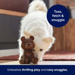 Frisco Camping Bear Plush Squeaky Dog Toy 10 Frisco Camping Bear Plush Squeaky Dog Toy -Frisco 270999 PT5. AC SS1800 V1691785245