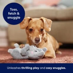 Frisco Camping Squirrel Plush Squeaky Dog Toy 10 Frisco Camping Squirrel Plush Squeaky Dog Toy -Frisco 271001 PT5. AC SS1800 V1691785245