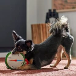 Frisco Camping Compass Plush With Rope Squeaky Dog Toy 5 Frisco Camping Compass Plush With Rope Squeaky Dog Toy -Frisco 271020 PT3. AC SS1800 V1625008965