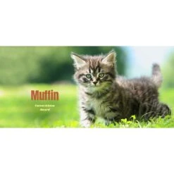 Frisco Basic Insulated Stainless Steel Personalized Mug, 10-oz 6 Frisco Basic Insulated Stainless Steel Personalized Mug, 10-oz -Frisco 271225 PT2. AC SS1800 V1620401826