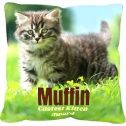 Frisco Personalized Basic Throw Pillow, 16" X 16" -Frisco 271237 PT2. AC SS1800 V1620405726