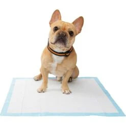 Frisco Premium Dog Training & Potty Pads & Frisco Premium Extra Large Dog Training & Potty Pads 13 Frisco Premium Dog Training & Potty Pads & Frisco Premium Extra Large Dog Training & Potty Pads -Frisco 276223 PT4. AC SS1800 V1616193411