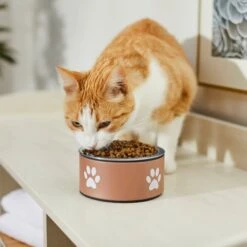 Frisco Paw Print Non-Skid Stainless Steel Dog & Cat Bowl 10 Frisco Paw Print Non-Skid Stainless Steel Dog & Cat Bowl -Frisco 277546 PT3. AC SS1800 V1630347716