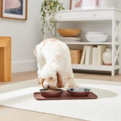 Frisco Silicone Stainless Steel Double Diner Dog & Cat Bowl, Brown 9 Frisco Silicone Stainless Steel Double Diner Dog & Cat Bowl, Brown -Frisco 277551 PT2. AC SS1800 V1630346531