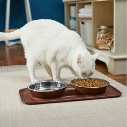 Frisco Silicone Stainless Steel Double Diner Dog & Cat Bowl, Brown 10 Frisco Silicone Stainless Steel Double Diner Dog & Cat Bowl, Brown -Frisco 277551 PT3. AC SS1800 V1630348104