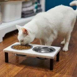 Frisco Marble Elevated Stainless Steel Double Diner Dog & Cat Bowls 9 Frisco Marble Elevated Stainless Steel Double Diner Dog & Cat Bowls -Frisco 277559 PT3. AC SS1800 V1630347820