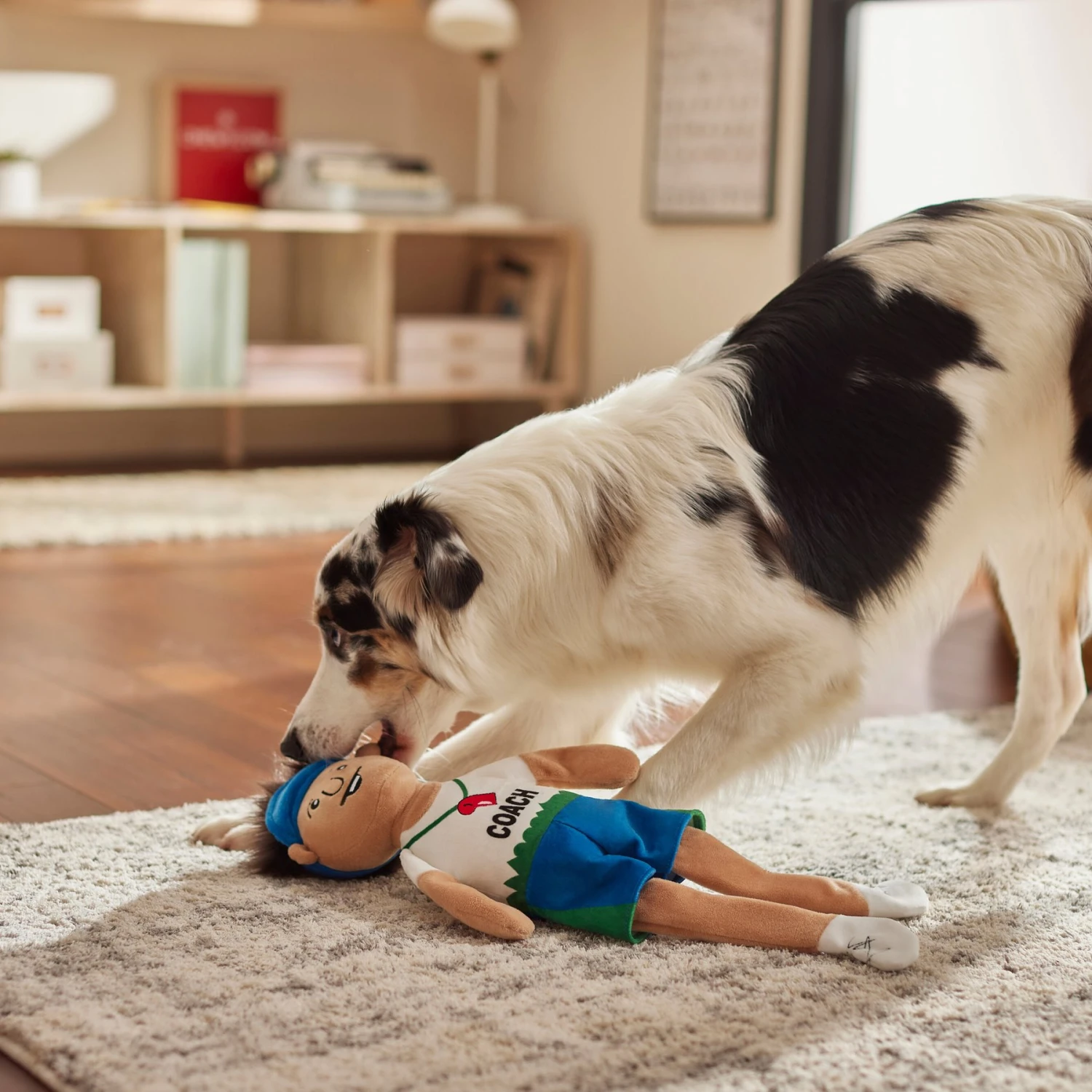 Frisco Gym Teacher Plush Squeaky Dog Toy 3 Frisco Gym Teacher Plush Squeaky Dog Toy - Image 3