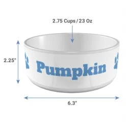 Frisco Paw Print Ceramic Personalized Dog Bowl -Frisco 286982 PT3. AC SS1800 V1636036346