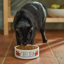 Frisco Flower Ceramic Personalized Dog Bowl 10 Frisco Flower Ceramic Personalized Dog Bowl -Frisco 286985 PT3. AC SS1800 V1625764702