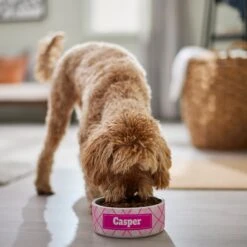 Frisco Personalized Plaid Ceramic Dog Bowl 9 Frisco Personalized Plaid Ceramic Dog Bowl -Frisco 287013 PT4. AC SS1800 V1639518088