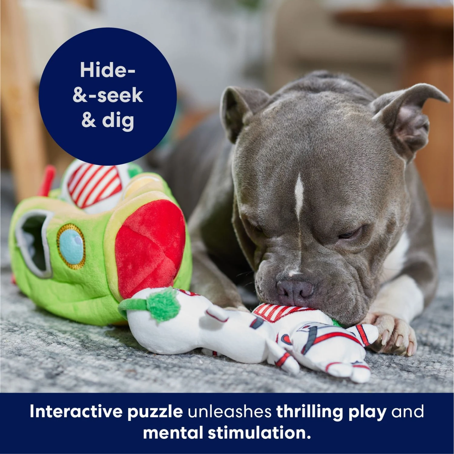 Frisco Holiday Rocket Ship Hide & Seek Puzzle Plush Squeaky Dog Toy 6 Frisco Holiday Rocket Ship Hide & Seek Puzzle Plush Squeaky Dog Toy - Image 6